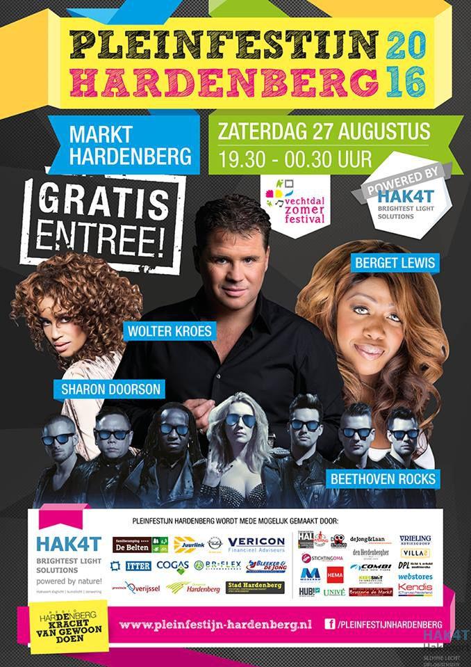 pleinfestijn Hardenberg 2016_00